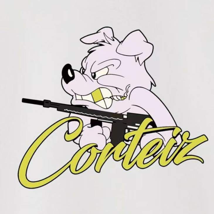 Corteiz Hoodies _SKUCorteizS-2XLastxC20542316